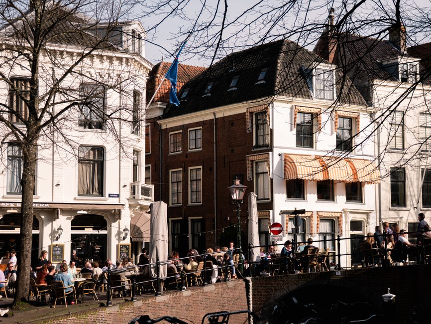 dakterras, Haarlem foto voor Een dakterras aanleggen in Haarlem